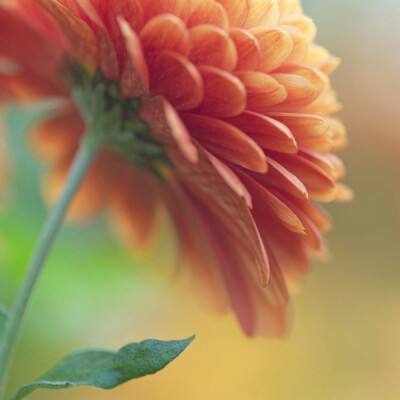 买球的app排行榜前十名推荐下载手机版