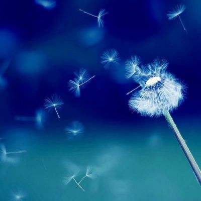 凯发K8官网入口