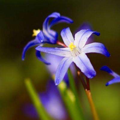 星空体育平台官网手机app下载